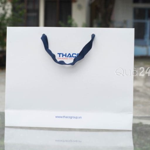 Túi Giấy 13