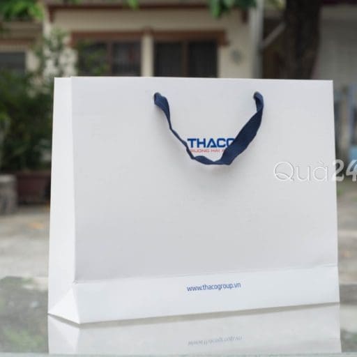 Túi Giấy 13