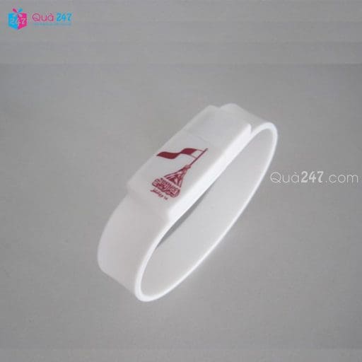 USB Cao Su 01