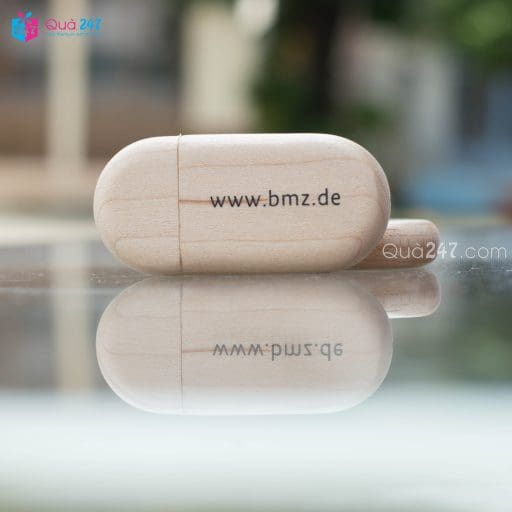 USB Gỗ 01