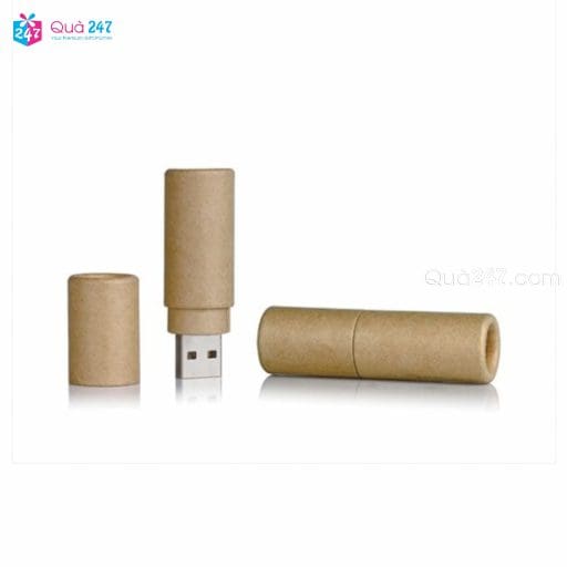 USB Gỗ 08