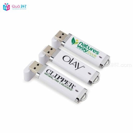USB Nhựa 02