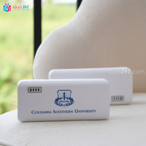 Pin Dự Phòng 06: Top 5 Mẫu Quà Tặng Doanh Nghiệp Hot Nhất!